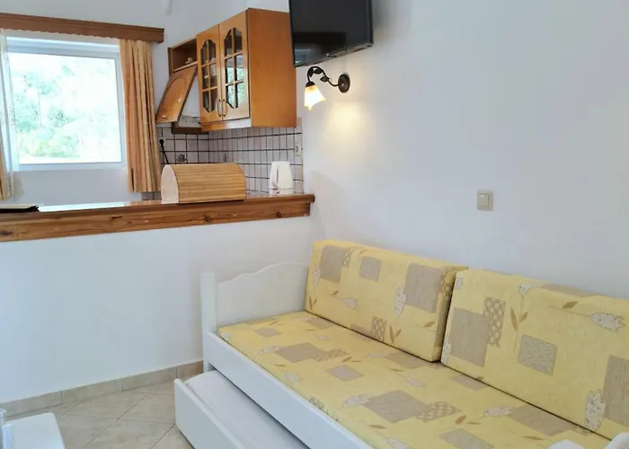 Dionysia 4*